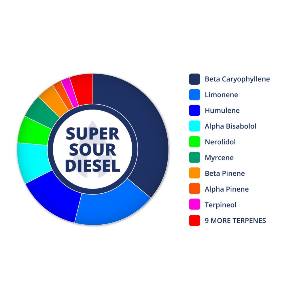 Super Sour Diesel | Terpenes UK | 2ml