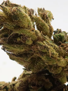 close up dr grinspoon calyx