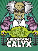 dr grinspoon's calyx cbd flower image
