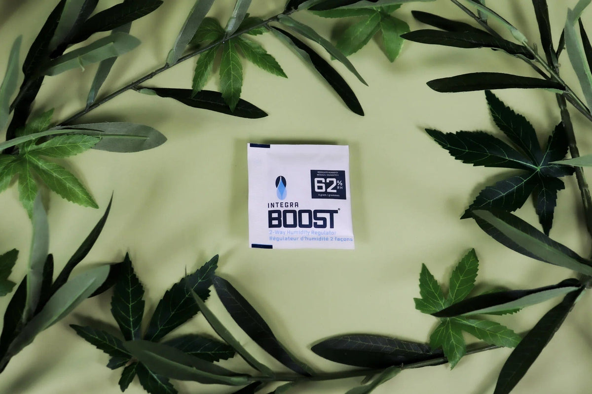 Integra Boost Lot De 10 Témoins D'Humidité Pour Plantes Et Stockage Naturel